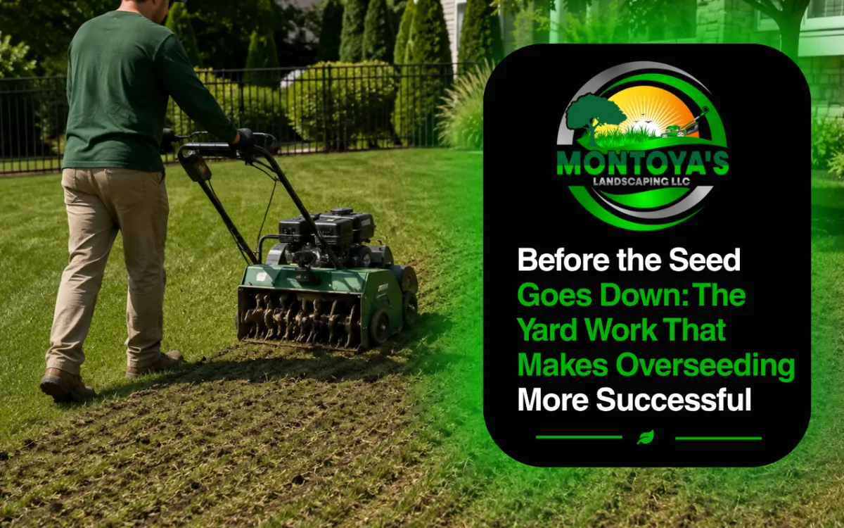 Before the Seed Goes Down: The Yard Work That Makes Overseeding More Successful