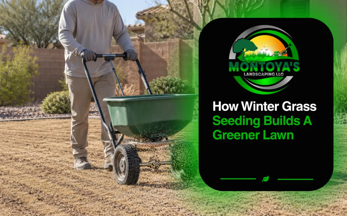 How Winter Grass Seeding Builds A Greener Lawn