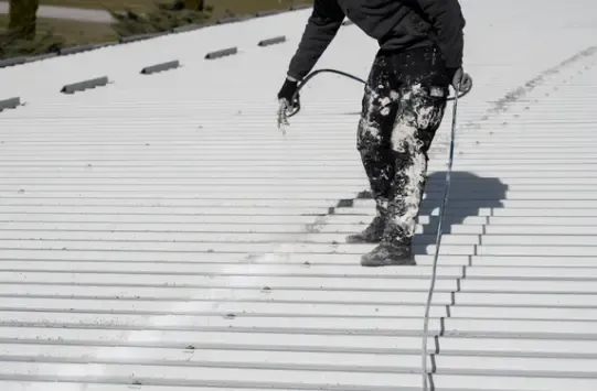 Roof Painting Carindale