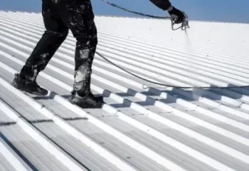 roof-painting
