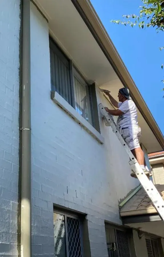 Brisbane Custom Wall Finishes
