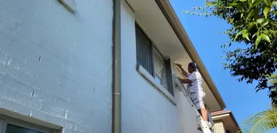 Eaves & Soffit Painting
