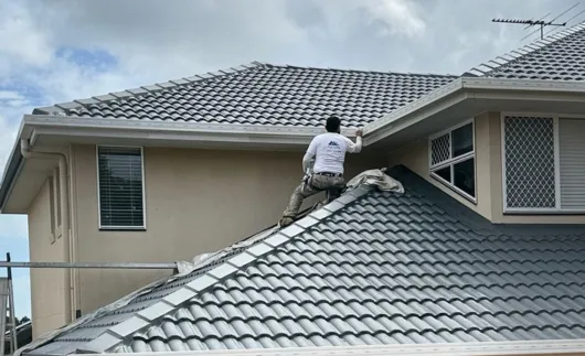 Roof Painting