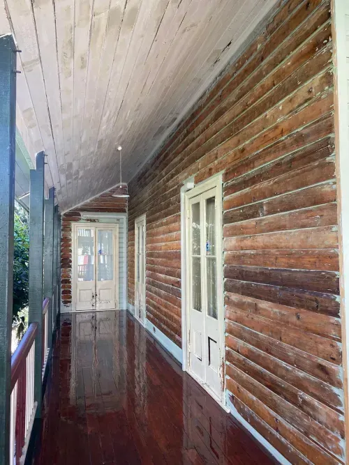 Lead Paint Removal + Bog