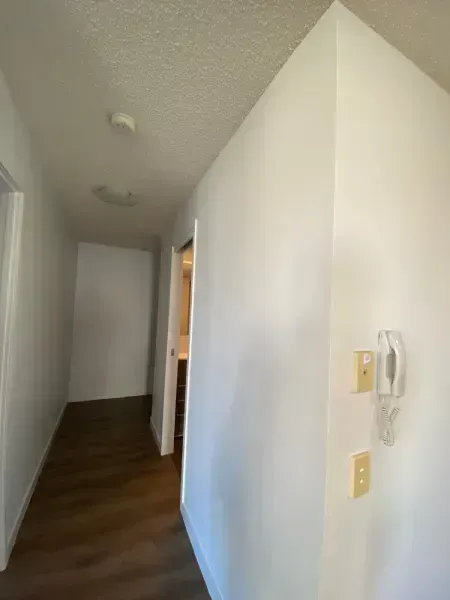 Interior Wall Painting
