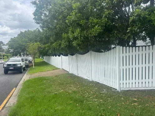 Fence Painting