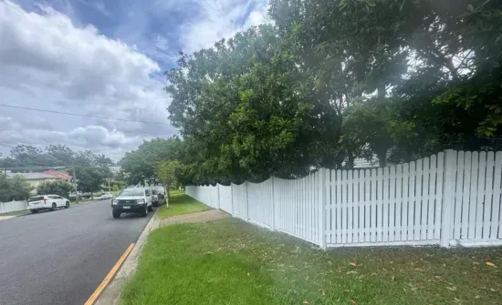 Fence Painting