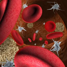 Platelet rich plasma PRP therapy for knee pain in Sonora CA