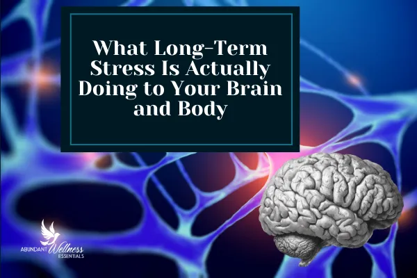 What Long-Term Stress Is Actually Doing to Your Brain and Body and Why Burnout in High Achievers Is More Dangerous Than You Think