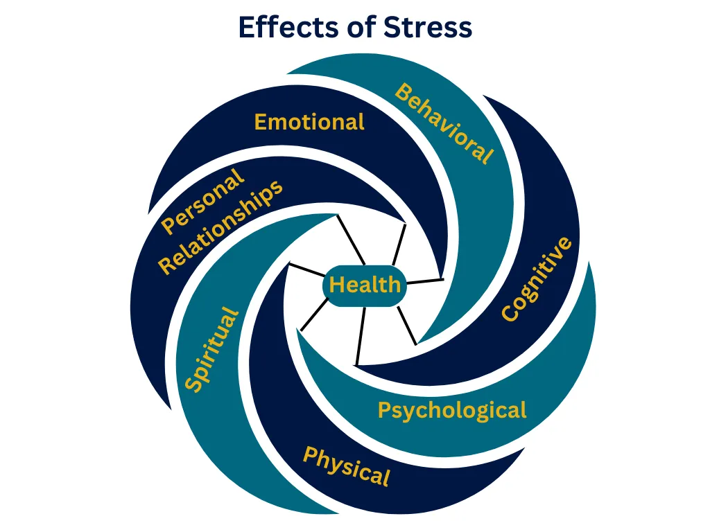 diagram showing the effects of stress