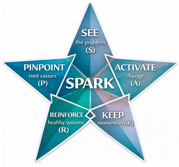 Star diagram of the SPARK method