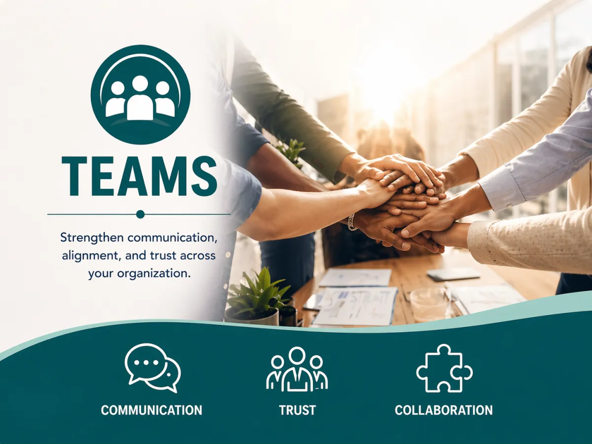 diagram of team system