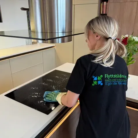 Fönsterputs Malmö