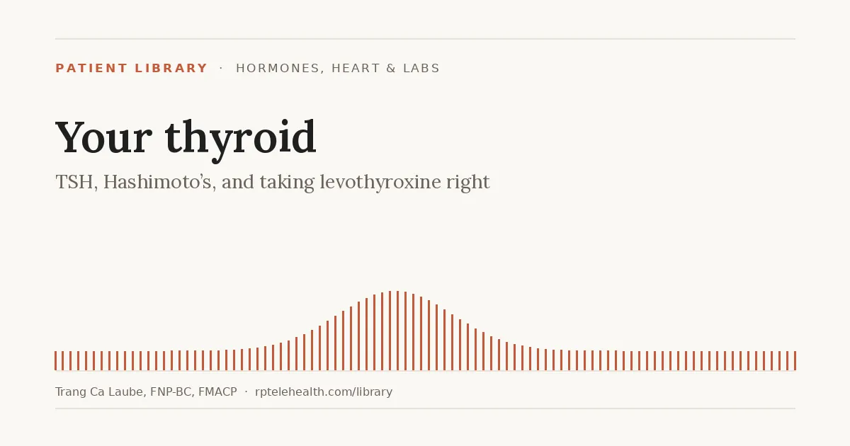 Your thyroid: TSH, Hashimoto's and levothyroxine — Reclaim Power Telehealth patient library