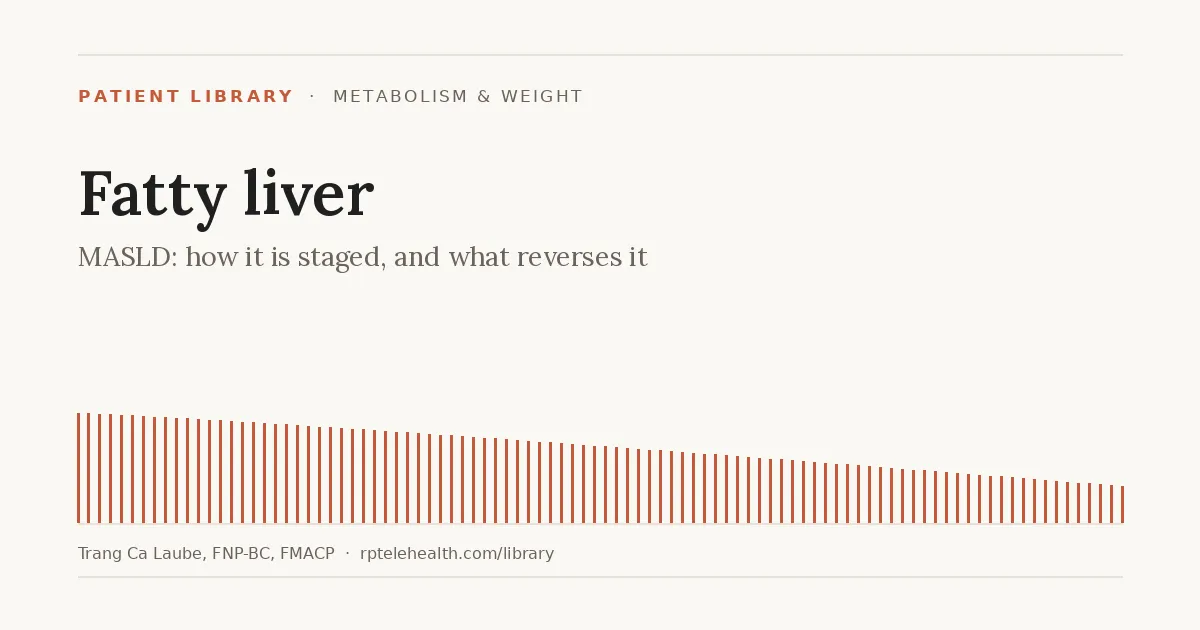 Fatty Liver (MASLD): What It Is, How It Is Staged, and What Reverses It