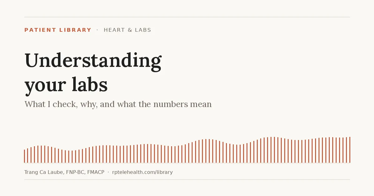 Understanding Your Labs: What I Check, Why, and What the Numbers Mean
