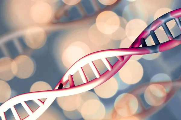 Epigenetik einfach erklärt: Gene, Lebensstil & Kinderwunsch