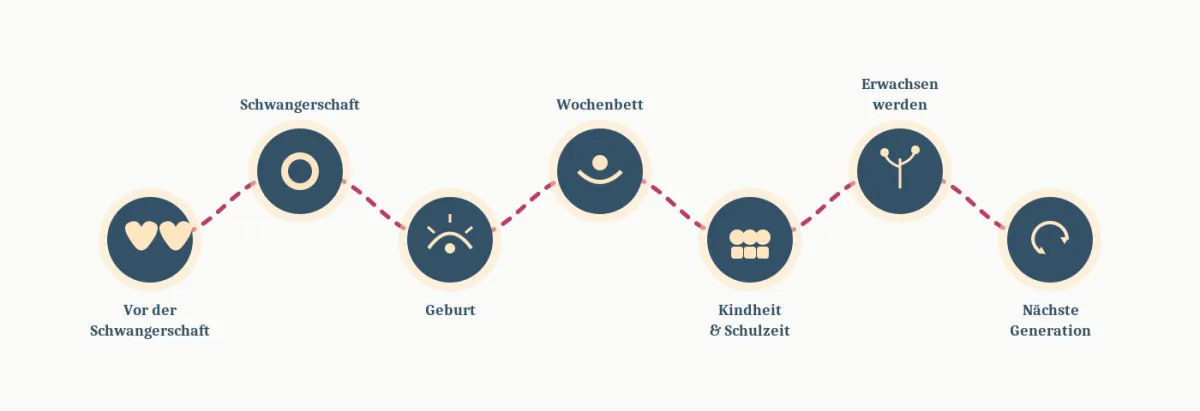 Grafik mit Kreisen und Icons