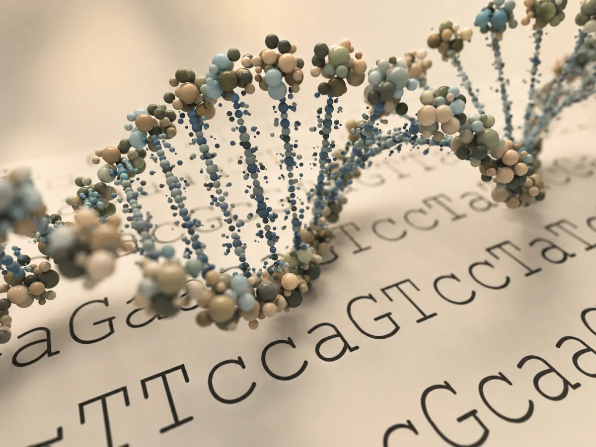 Epigenetik einfach erklärt: Gene, Lebensstil & Kinderwunsch