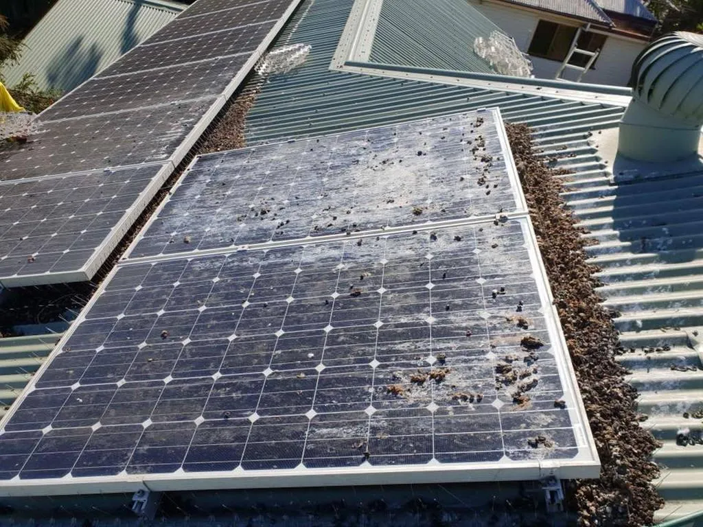 Solar Cleaning 