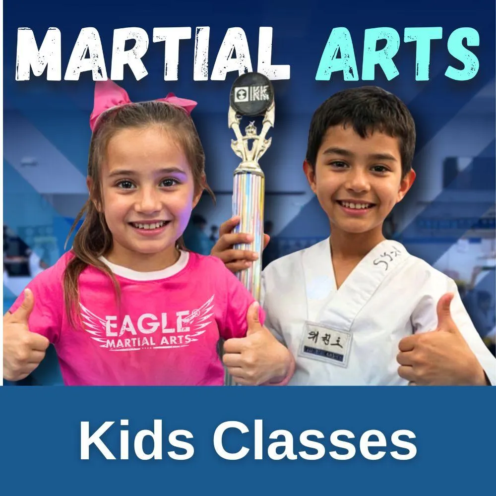 Children's Martial Arts Classes In Murphy!