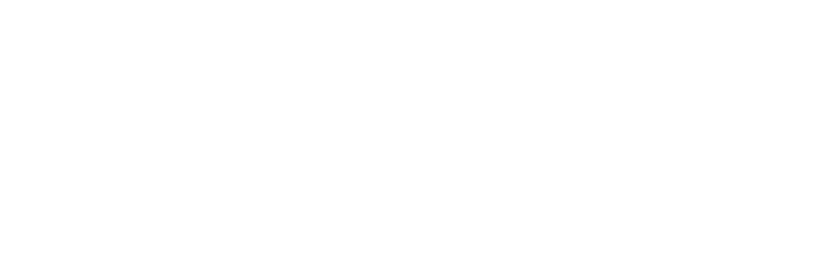 Alta Vida Logo