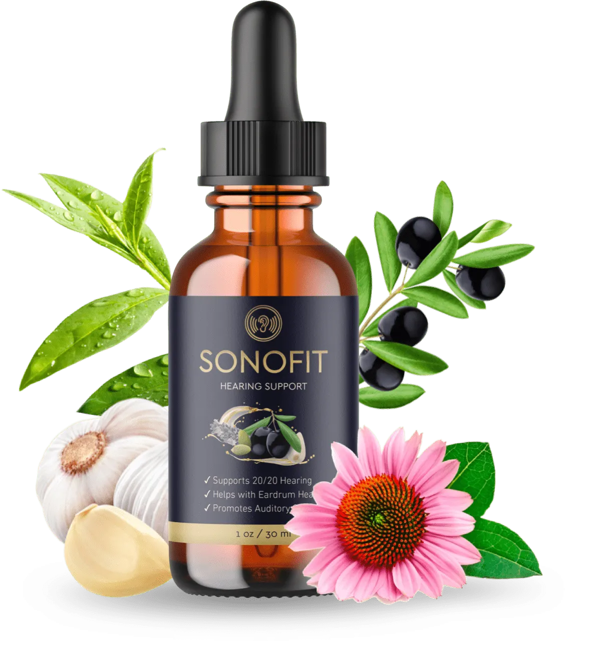 SonoFit