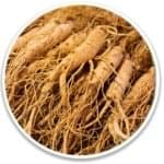 Ikaria Lean Belly Juice Ingredients Panax ginseng