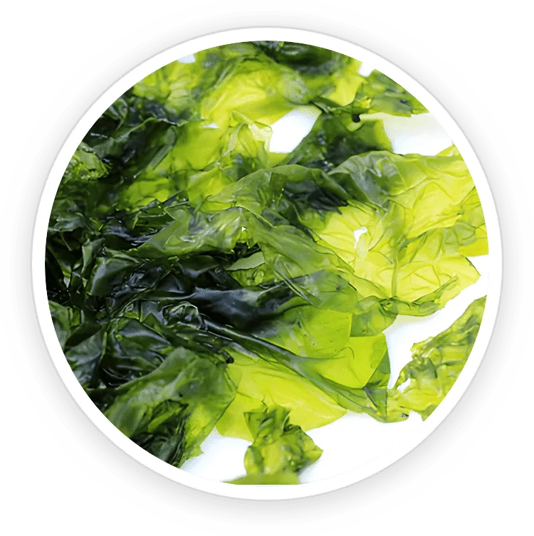 ProstaDine Ingredients Nori Yaki Extract Powder
