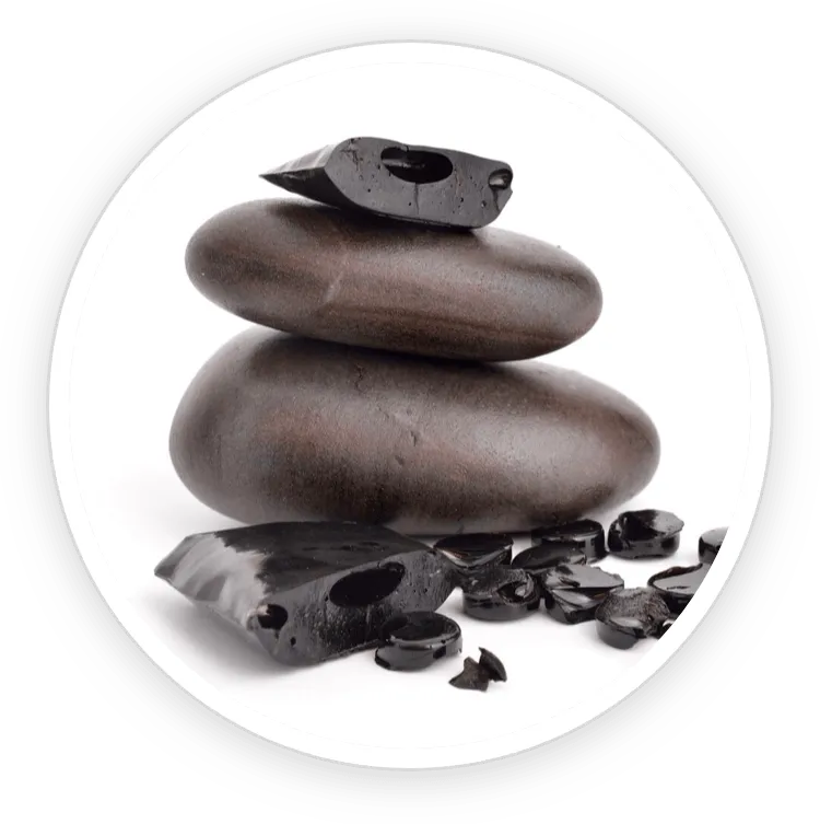ProstaDine Ingredients Shilajit