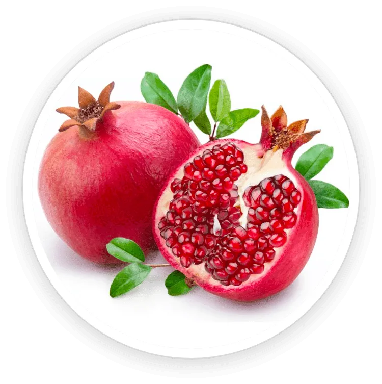 ProstaDine Ingredients Pomegranate Extract