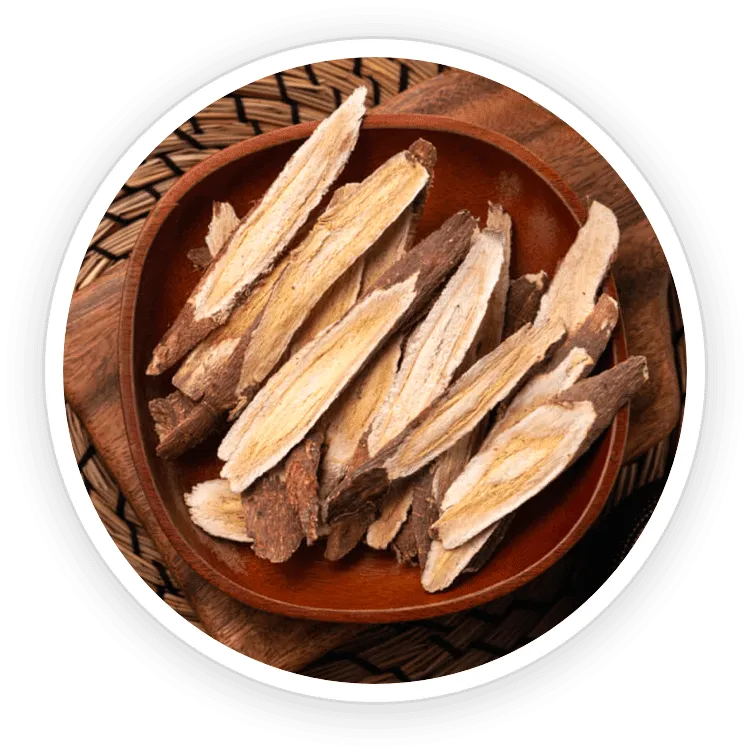 Astragalus-Root