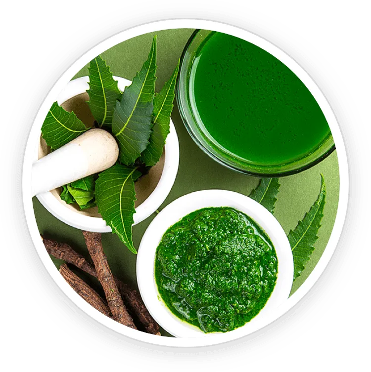 ProstaDine Ingredient Neem