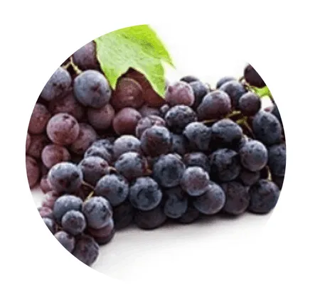 Ikaria Lean Belly Juice Ingredients Resveratrol