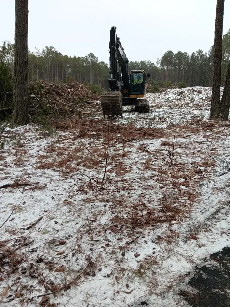 JAP Grading and Clearing LLC