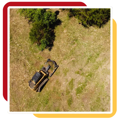Land clearing contractor clearing a wooded lot for safer access