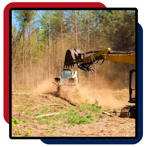Land Clearing in Chapel Hill, NC, with brush removal on a residential property