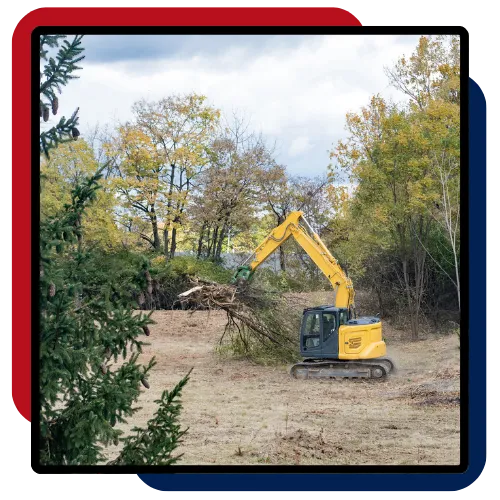 Land Clearing in Durham NC for thick brush removal 