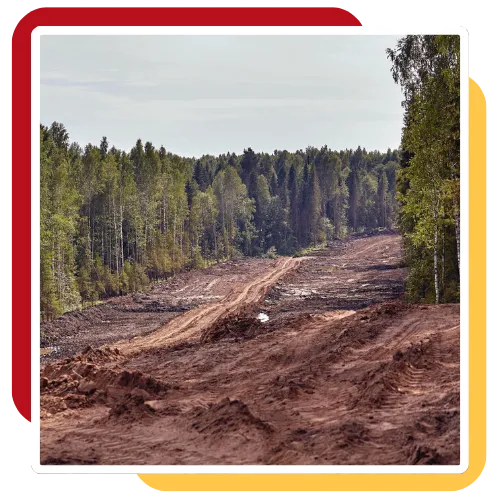 Tree clearing service preparing a Durham NC property 