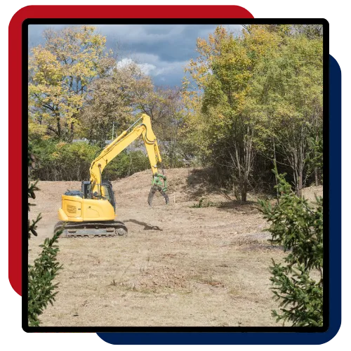 Overgrown property before Land Clearing in Cary, NC