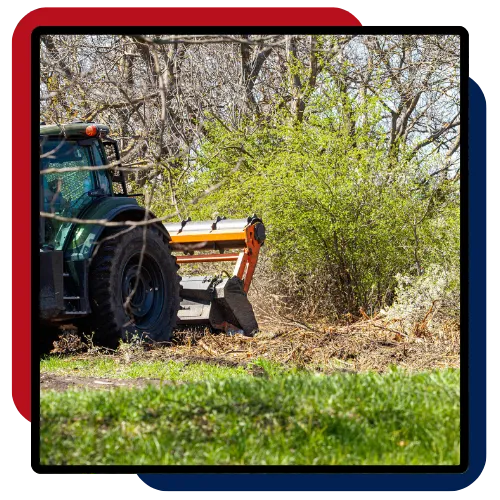 Reliable tree clearing and lot cleanup services