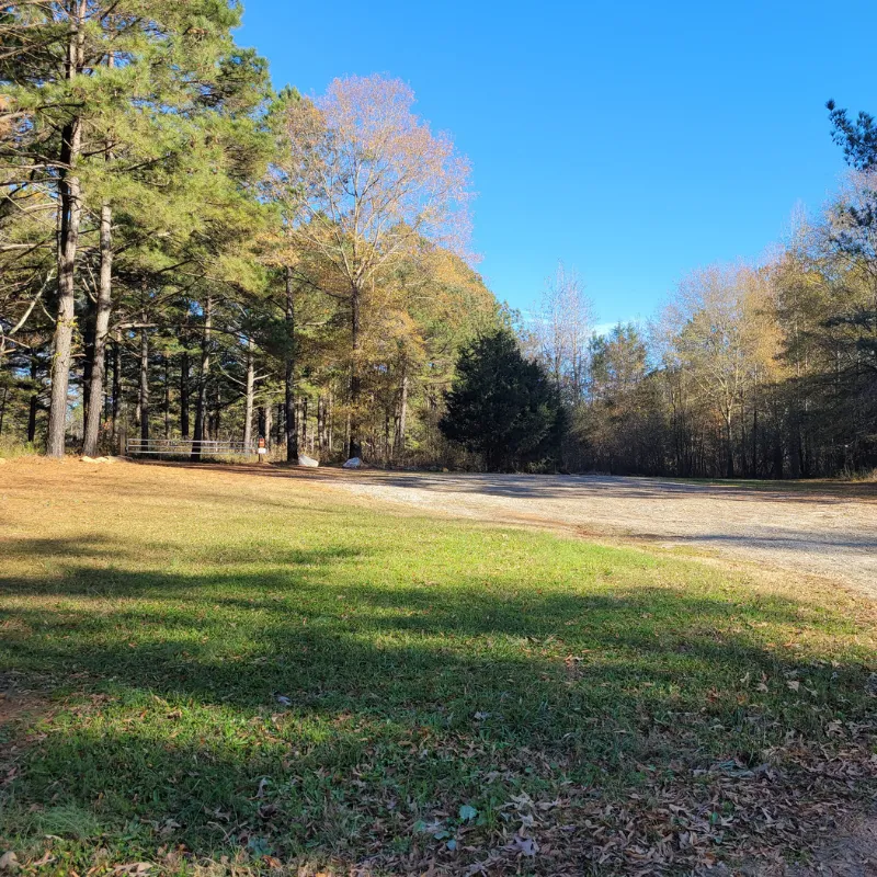 Holly Springs Services