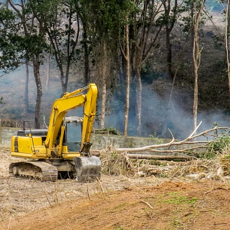 Land Clearing & Demolition