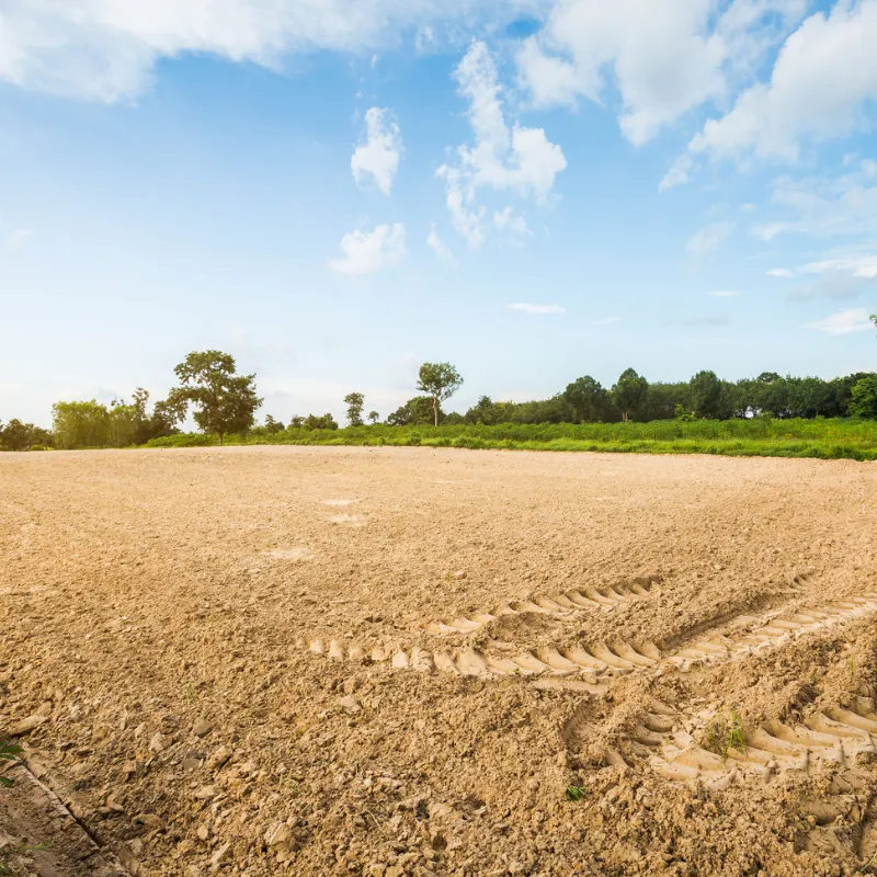 Land Preparation & Design
