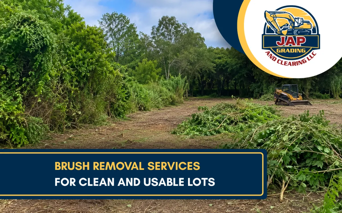 Brush Removal Services For Cleaner Land