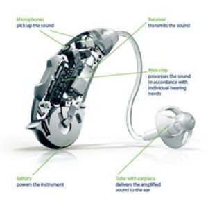 interior view of a hearing aid