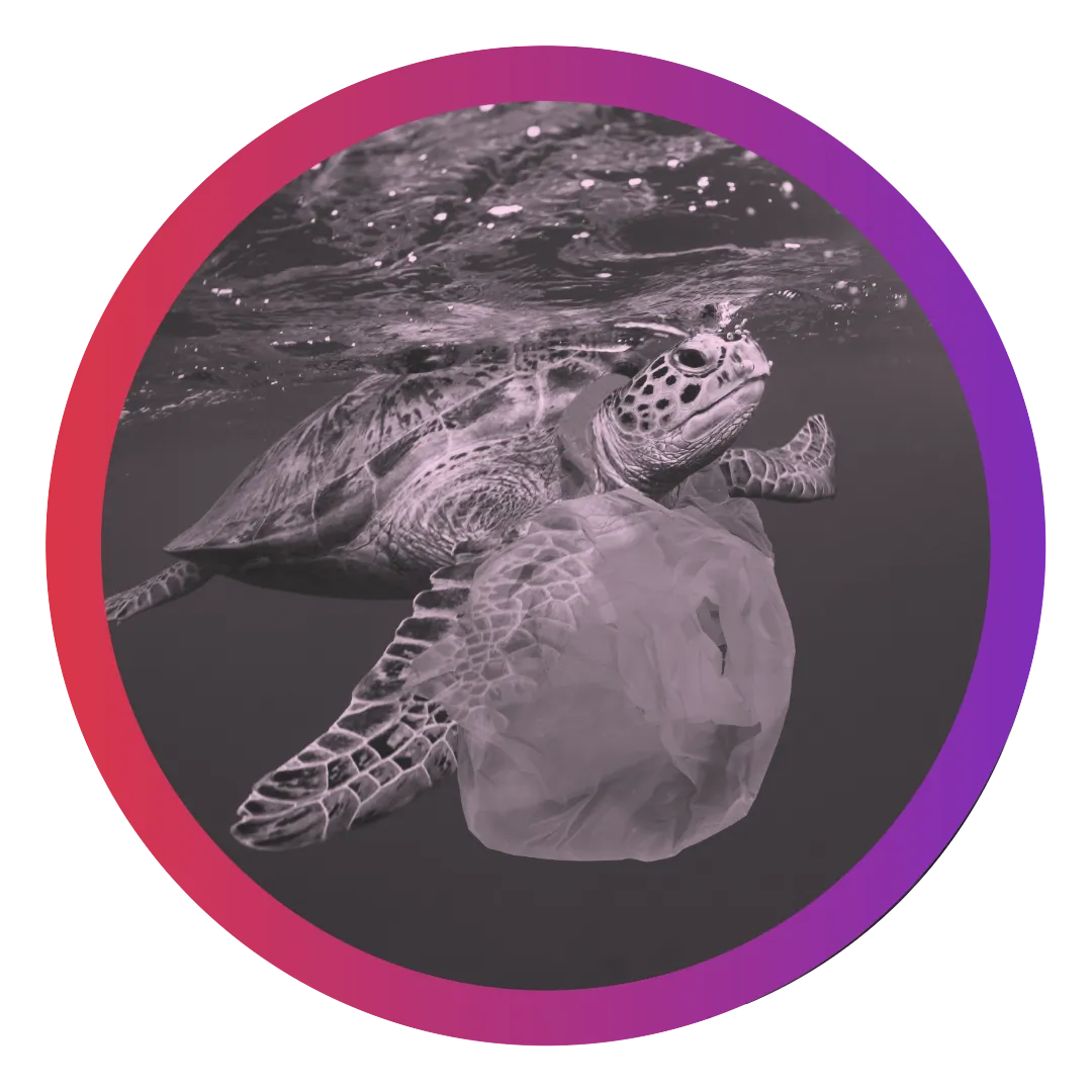 csr-plastic-credits-tons-of-plastic
