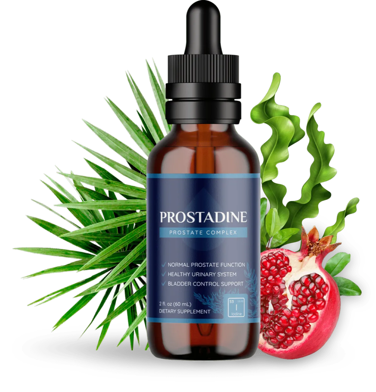 Prostadine-Bottle