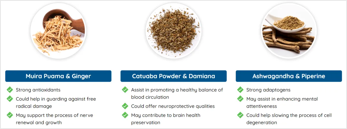 Quietum-Plus-ingredients