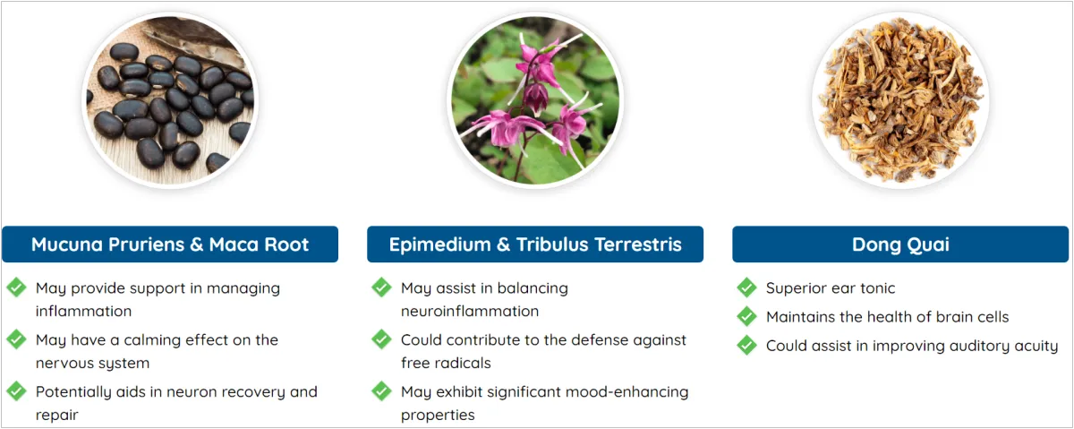 Quietum-Plus-ingredients